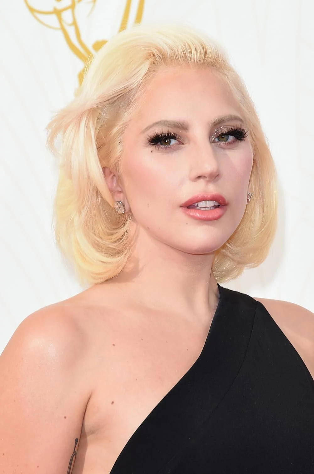 Lady Gaga Summary