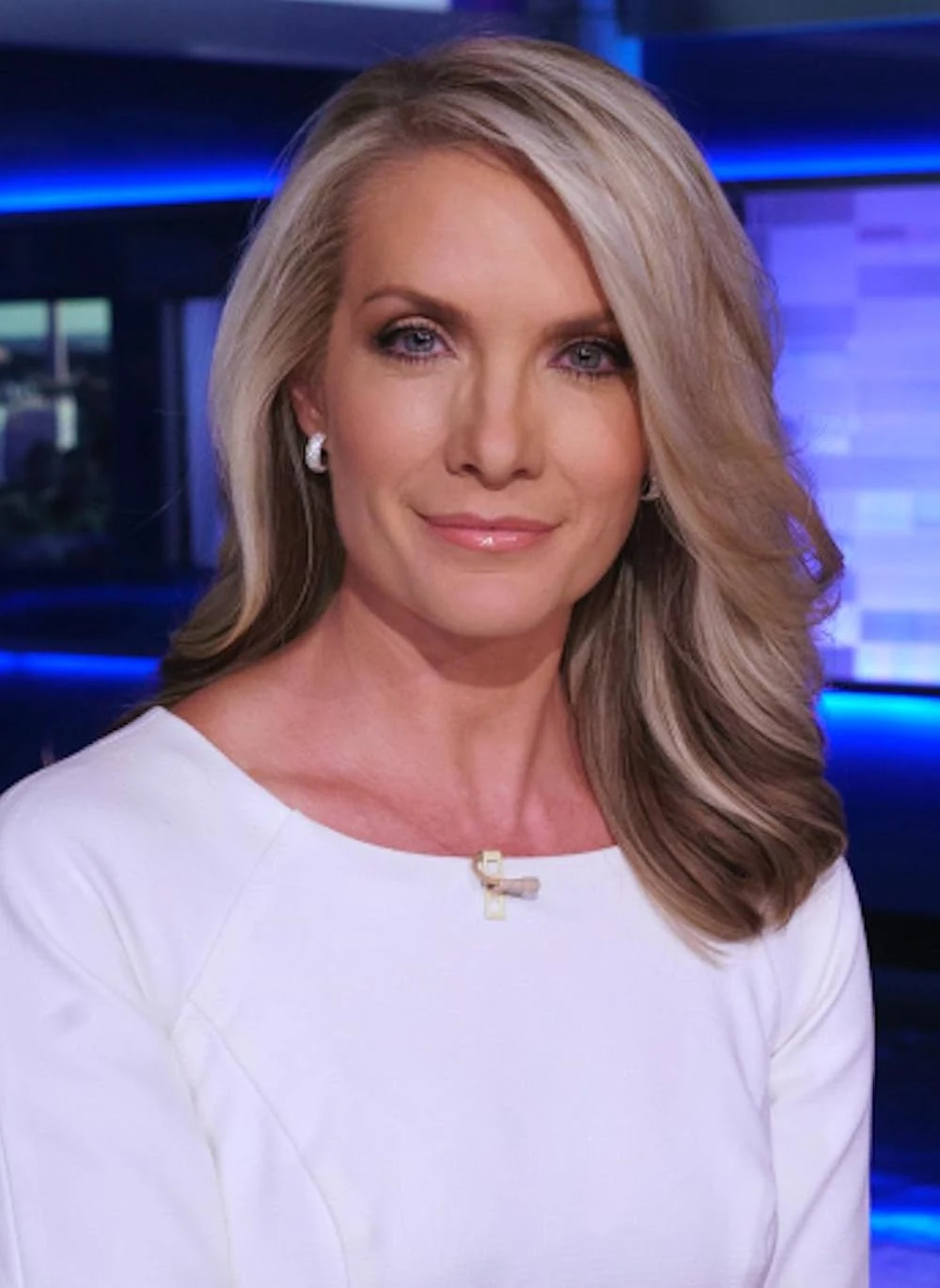 Dana Perino Summary